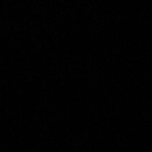 Meet your Posher, Evelyn